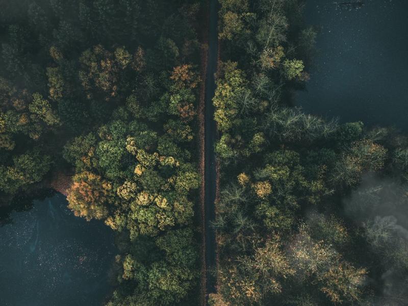 Forêts de cèdres du Moyen Atlas