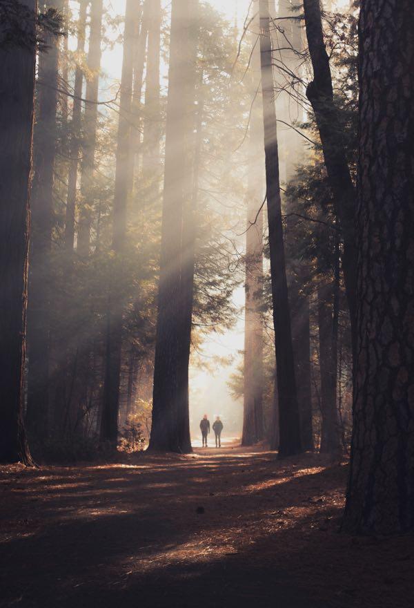 Ifrane
