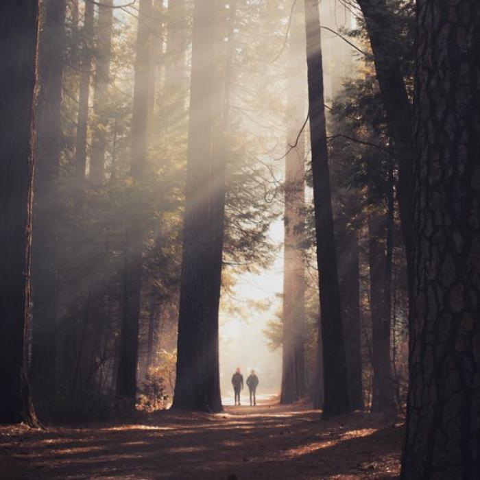 Ifrane